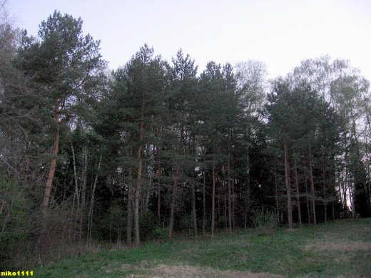 24464 (a): :1024x768